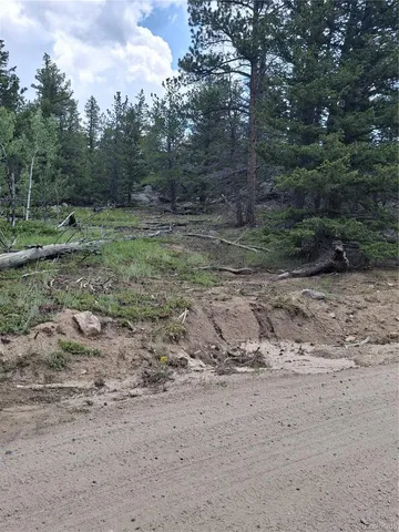 a view of a dry yard with trees