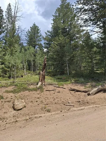 a view of a yard with a tree