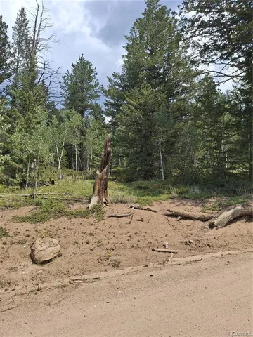 a view of a yard with a tree