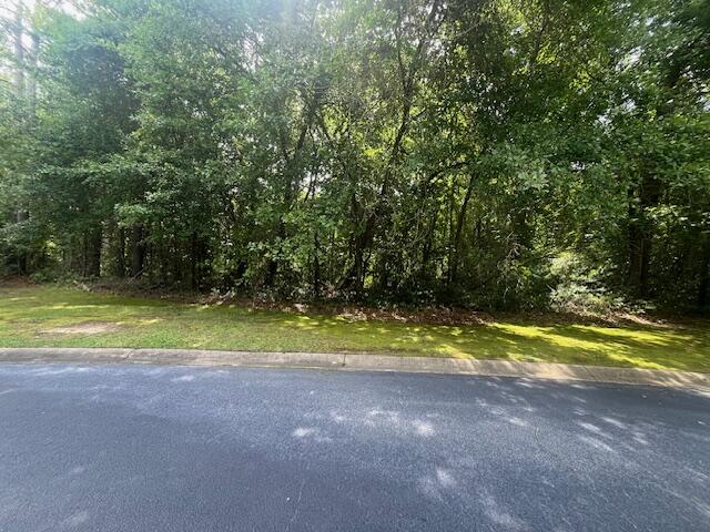 25 Millrun Drive Sumter, SC 29154 - Photo 4 of 10