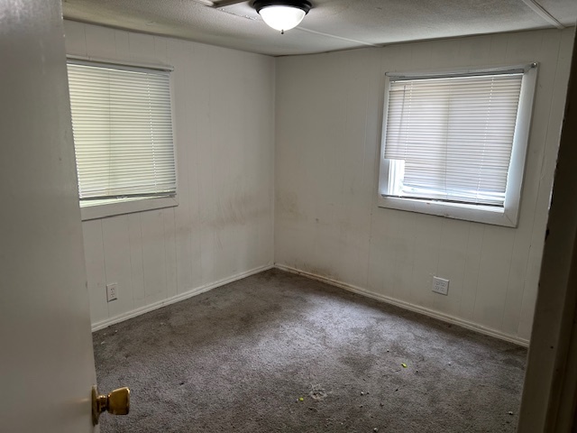 495 North Division Street Braidwood, IL 60408 - Photo 11 of 13