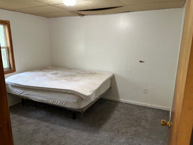 495 North Division Street Braidwood, IL 60408 - Photo 12 of 13