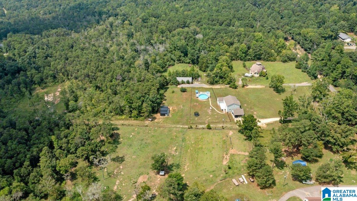 760 Newton Road Odenville, AL 35120 - Photo 31 of 39