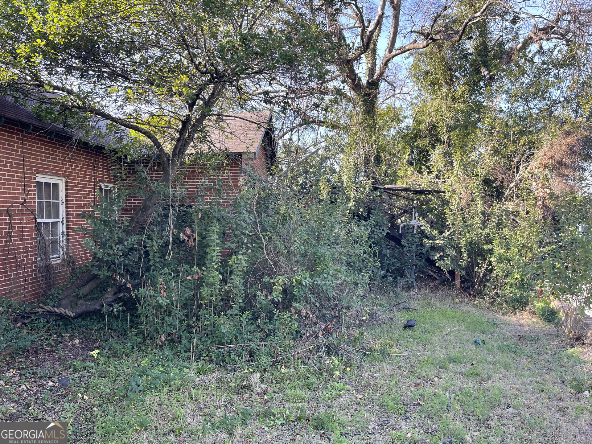 1851 Coleman Avenue Macon, GA 31201 - Photo 6 of 23 a view of a forest with large trees