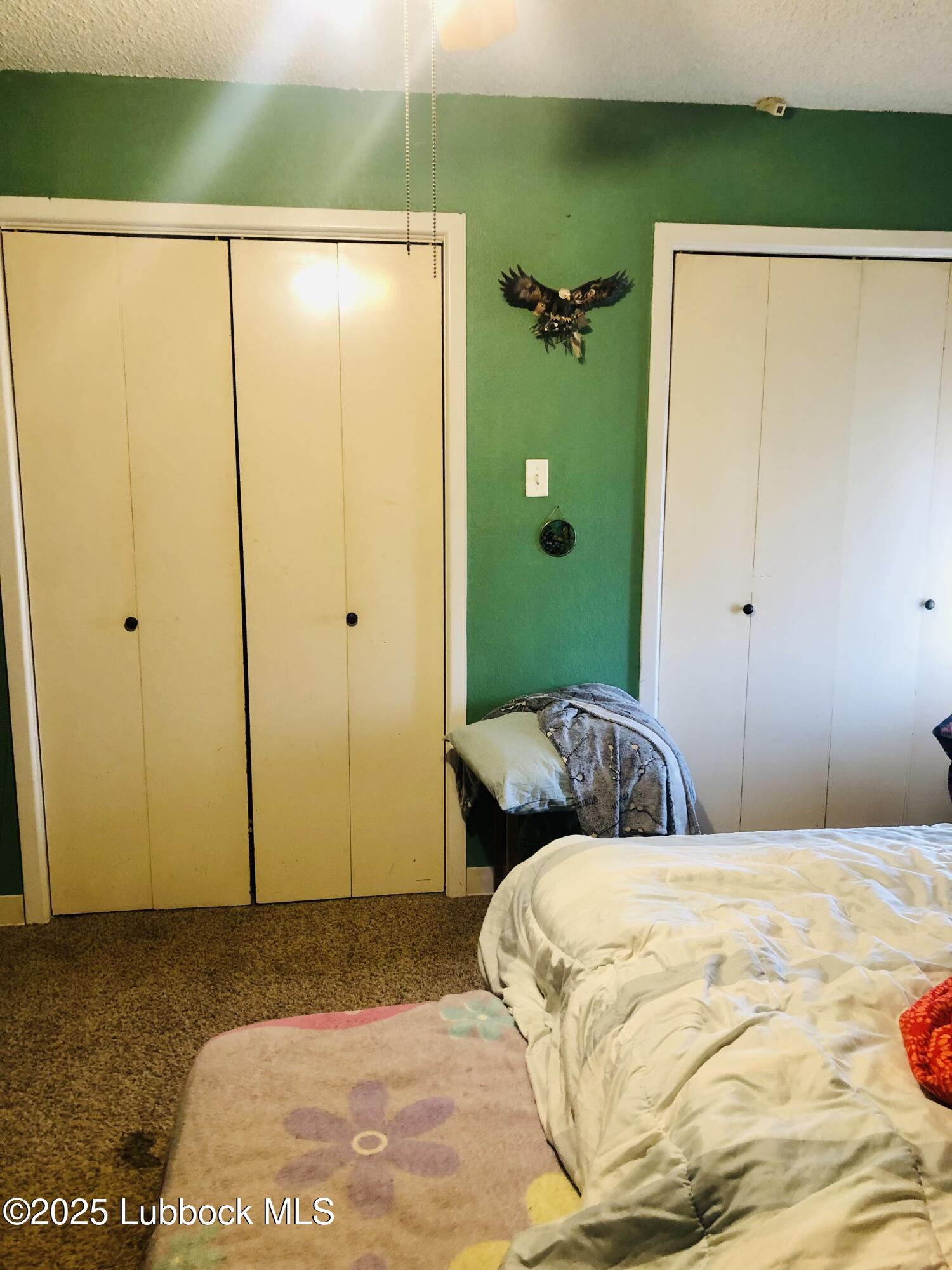 1470 Highway 84 Muleshoe, TX 79347 - Photo 23 of 49 IMG_0653