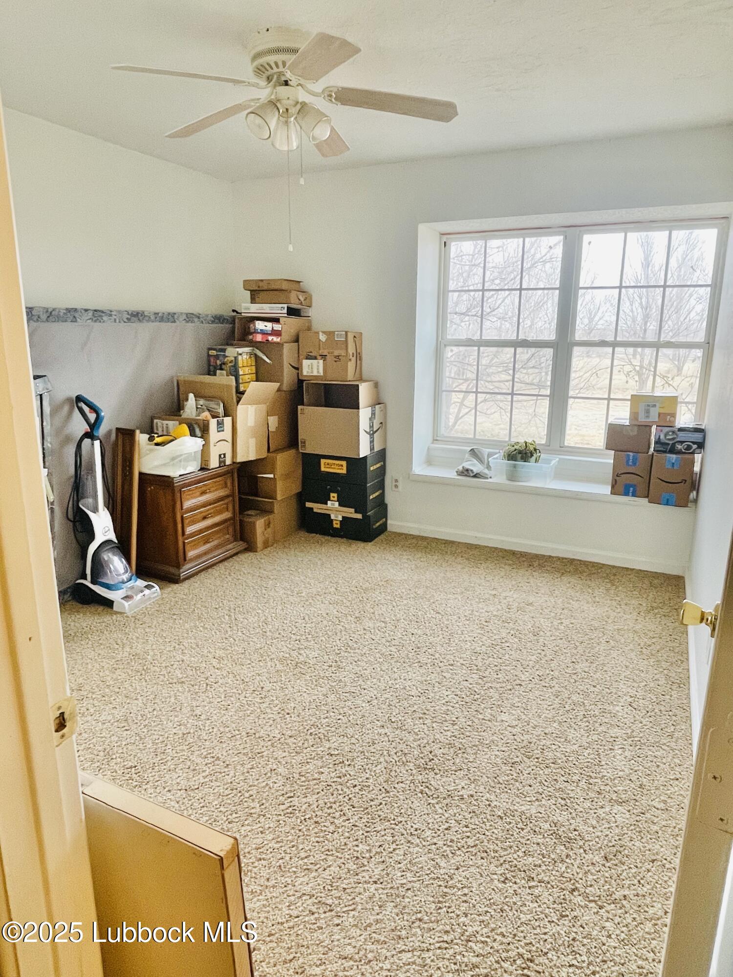 1470 Highway 84 Muleshoe, TX 79347 - Photo 25 of 49 IMG_9994