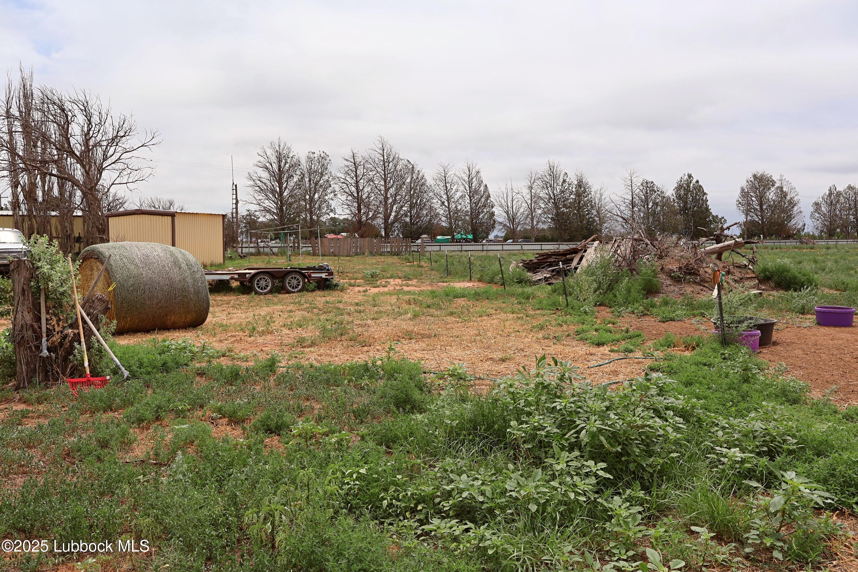 1470 Highway 84 Muleshoe, TX 79347 - Photo 42 of 49 IMG_6826