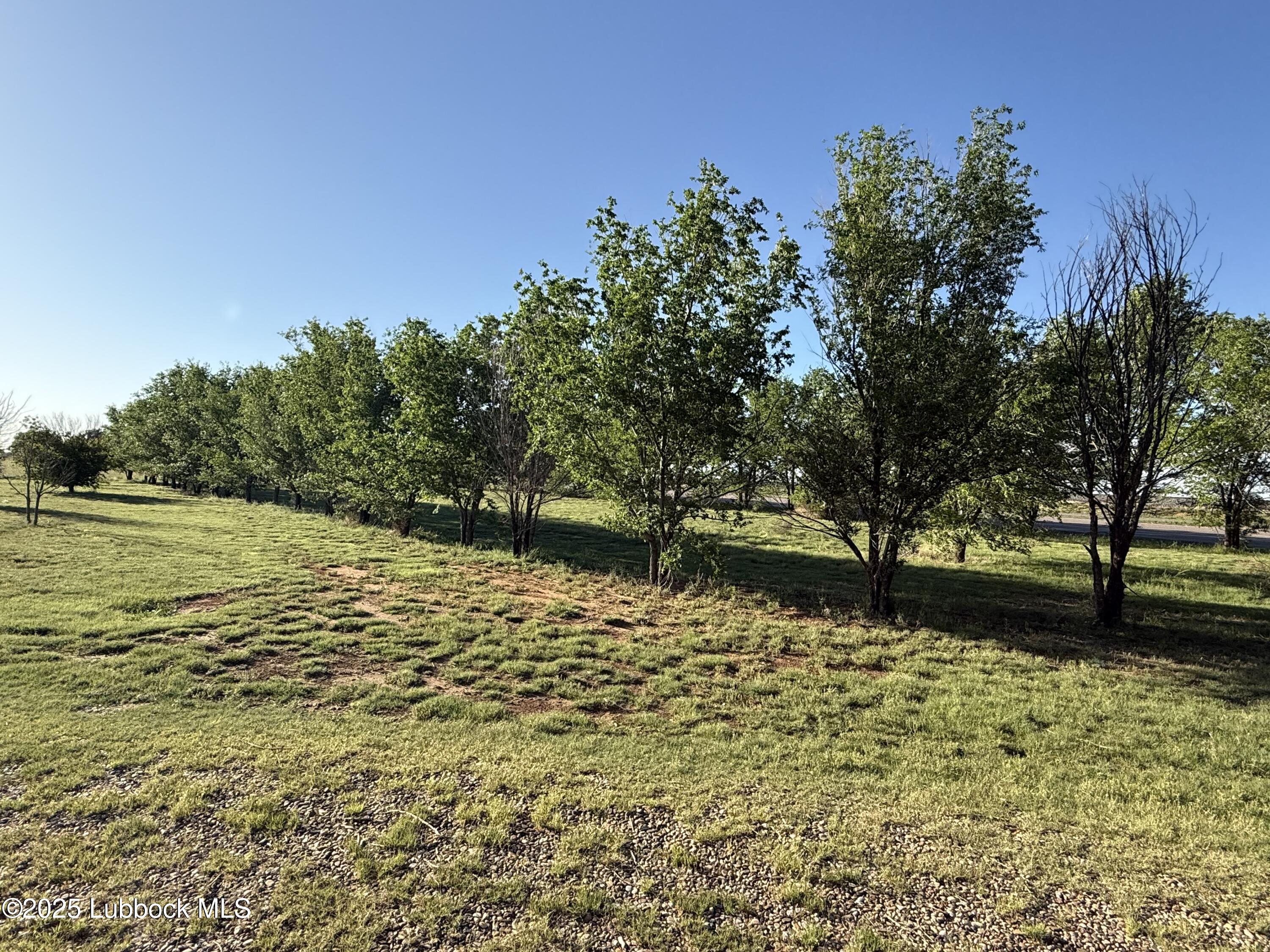 1470 Highway 84 Muleshoe, TX 79347 - Photo 45 of 49 IMG_2397