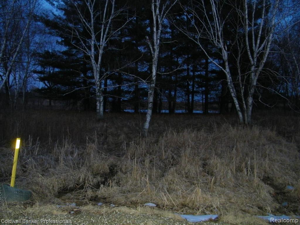 Vacant Schook Road Imlay City, MI 48444 - Photo 8 of 8 Gallery Image 8