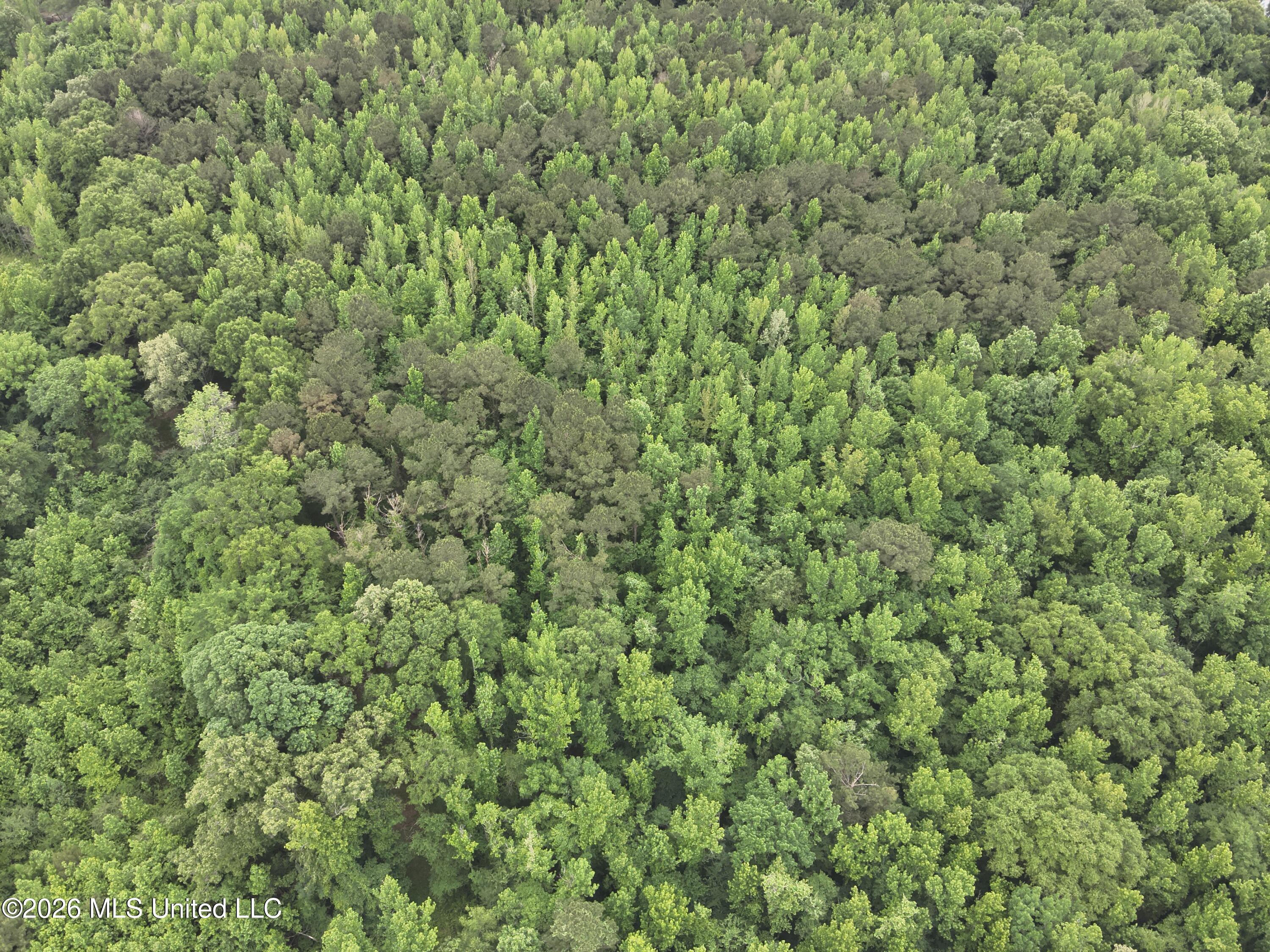 DJI_20260508121333_0012_V