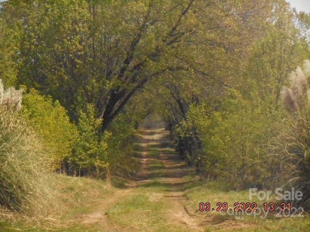250 Hicks Grove Road Mooresboro, NC 28114 - Photo 11 of 41 Gallery Image 11
