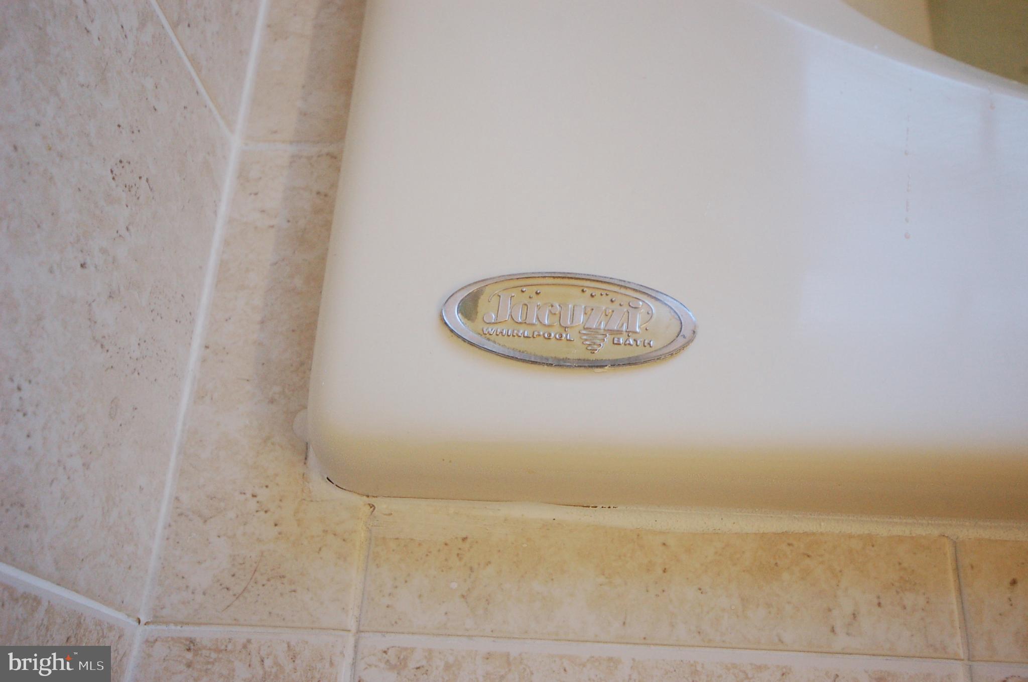 5033 Kemsley Road Rosedale, MD 21237 - Photo 23 of 63 Luxury Jacuzzi Whirlpool tub