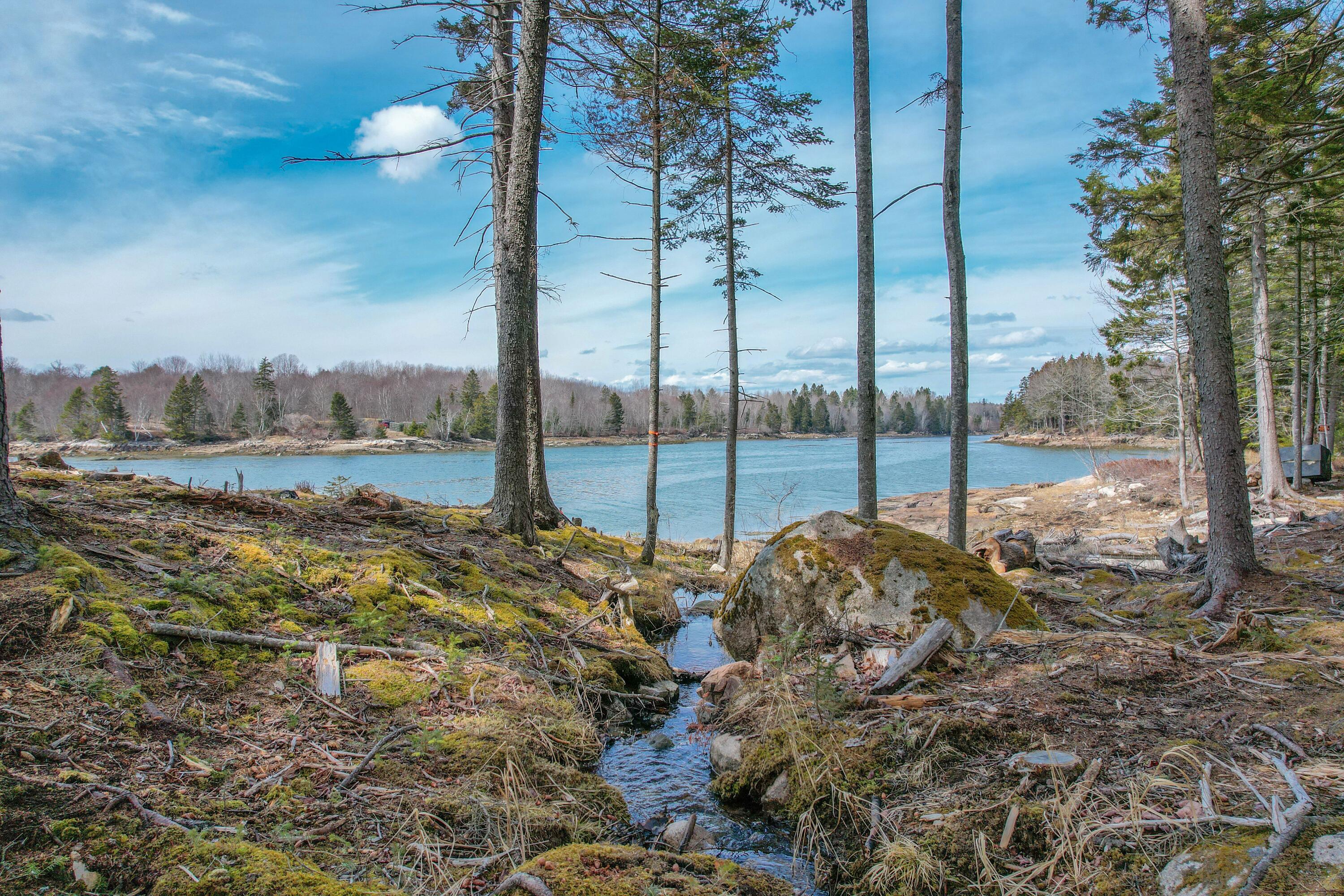 93 Goods Point Road, Unit LOT #1 Steuben, ME 04680 - Photo 16 of 66 DJI_0187