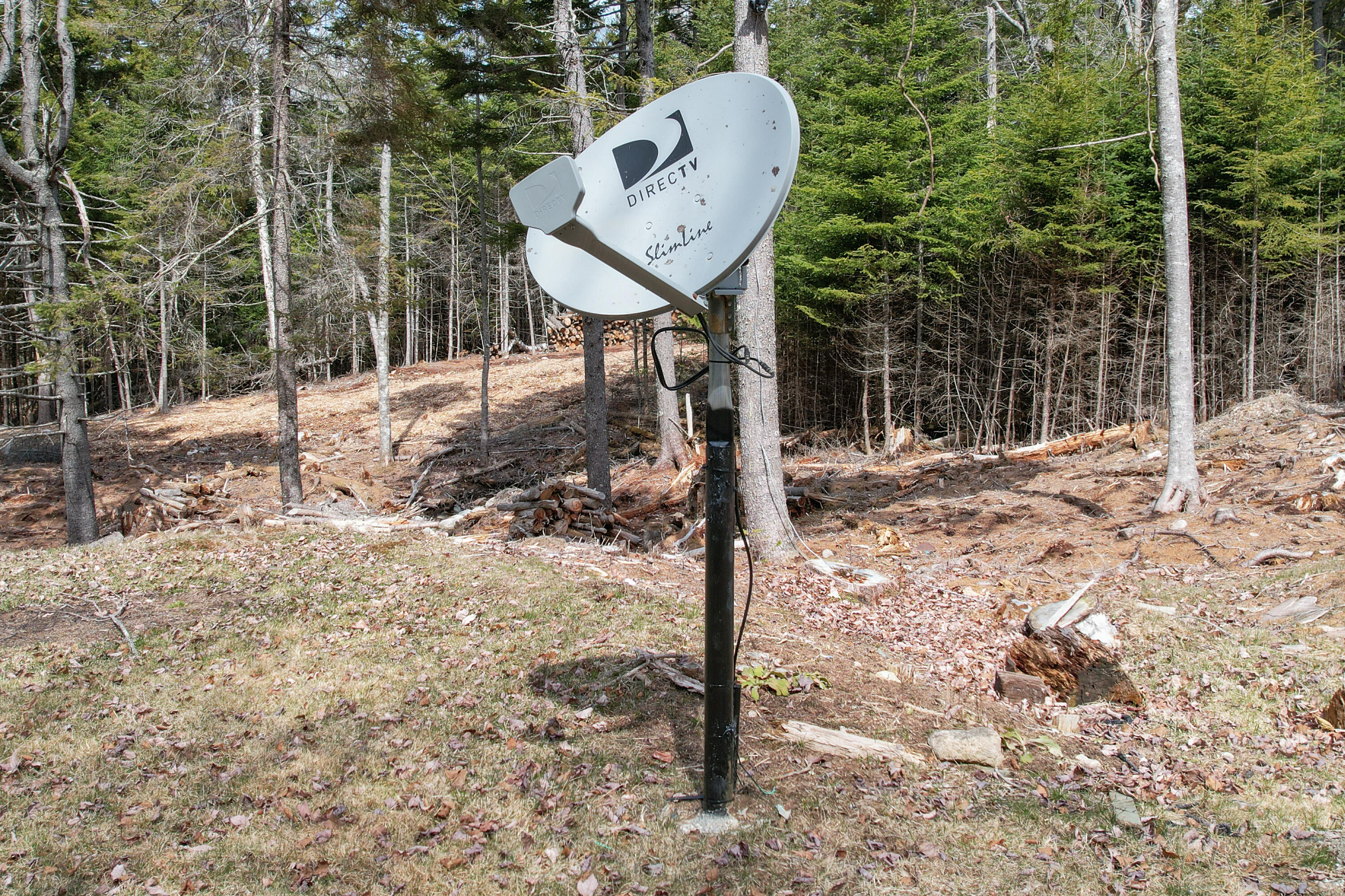 93 Goods Point Road, Unit LOT #1 Steuben, ME 04680 - Photo 66 of 66 DJI_0178