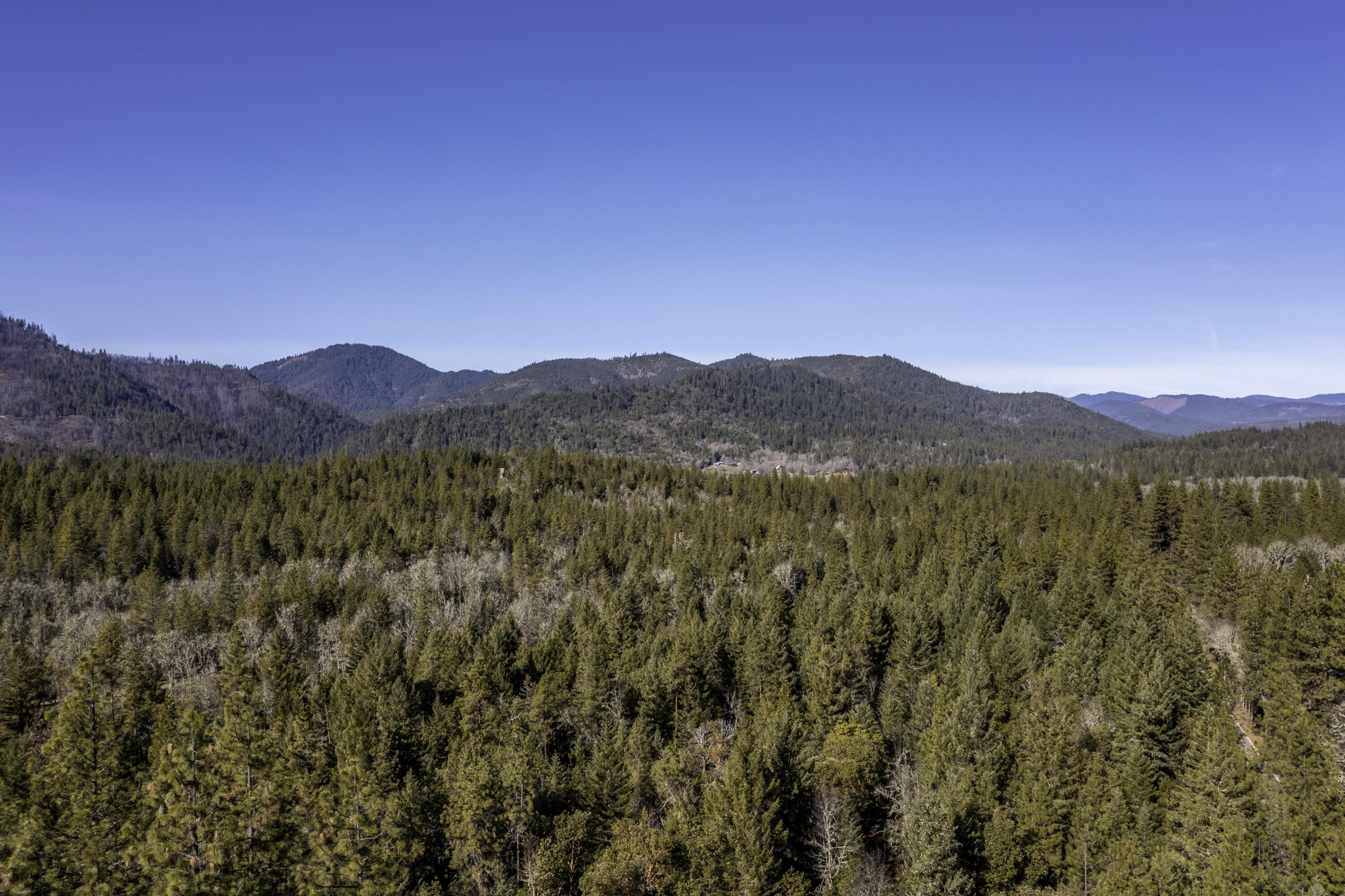 16575 Meadows Road White City, OR 97503 - Photo 45 of 46 DJI_0322