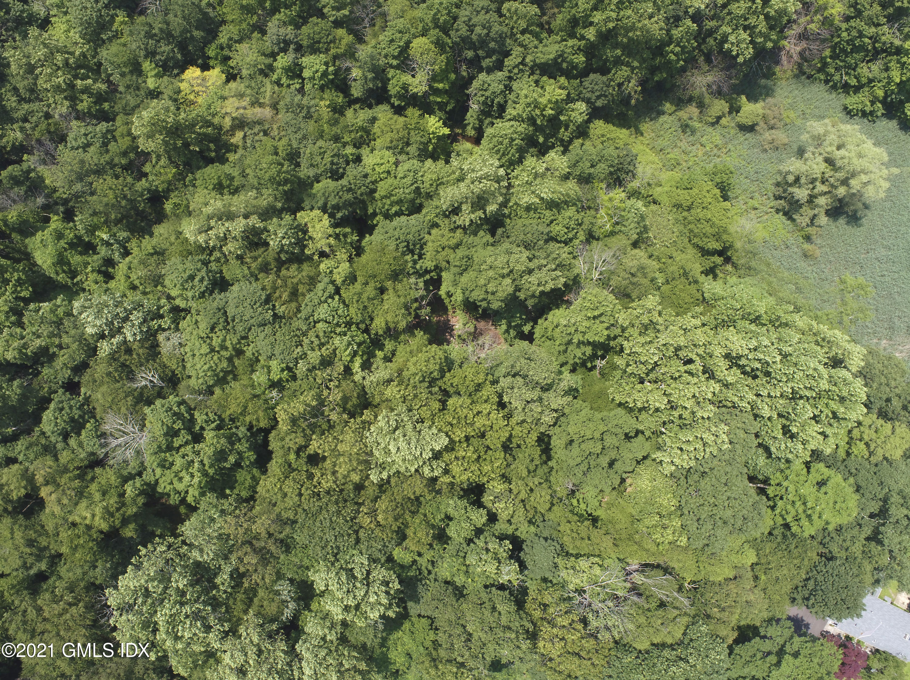 0 Pound Street Ridgefield, CT 06877 - Photo 7 of 7 2