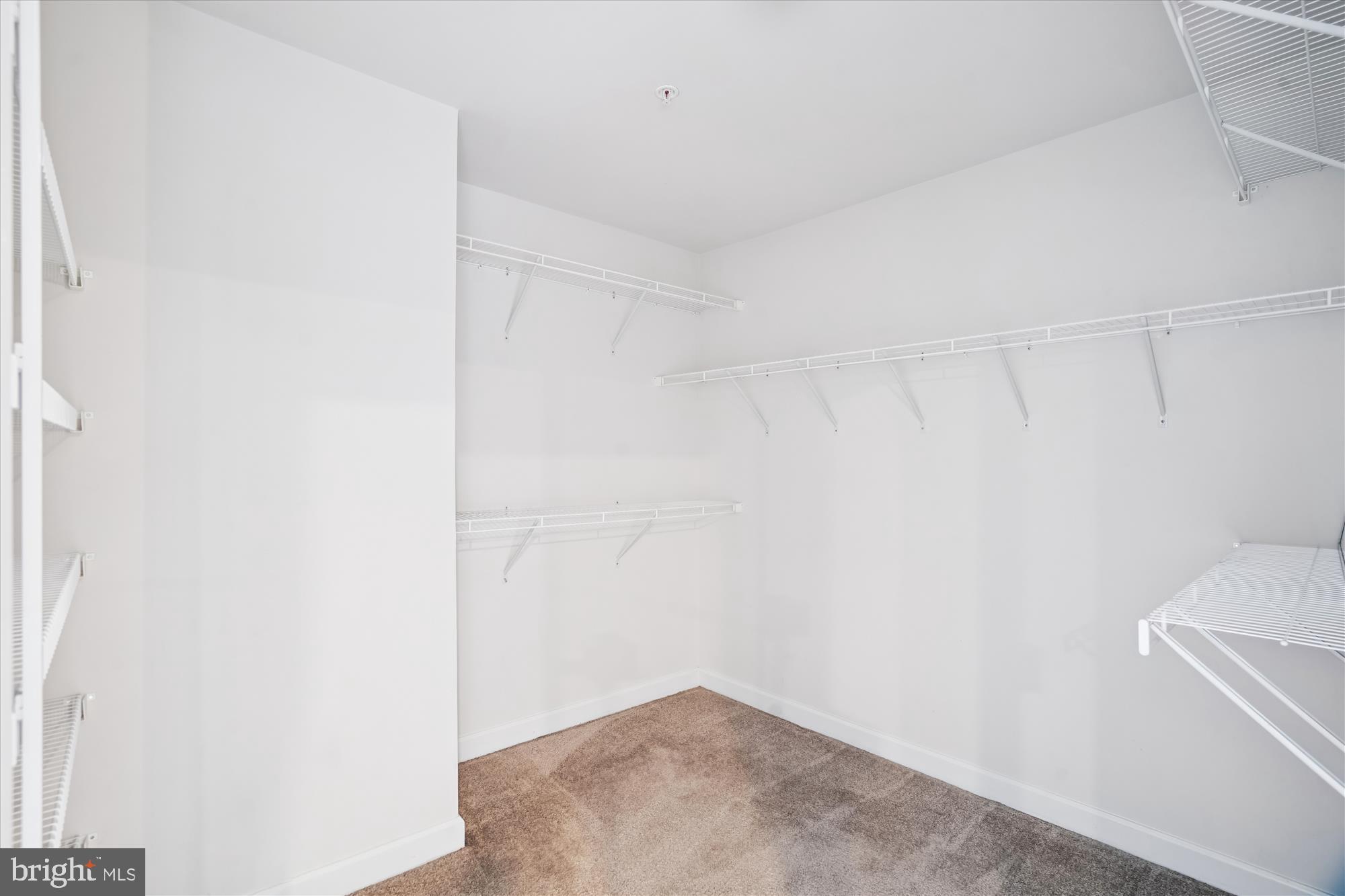 5437 Stream Bank Lane Greenbelt, MD 20770 - Photo 51 of 76