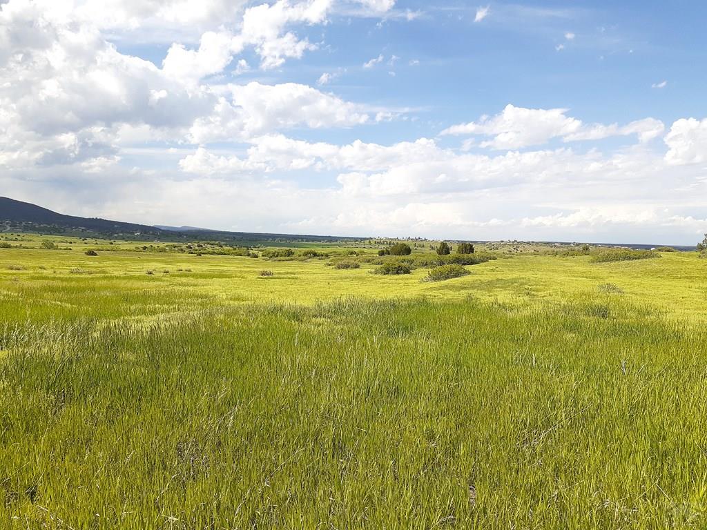 Tbd Apollo Circle Rye, CO 81069 - Photo 9 of 11