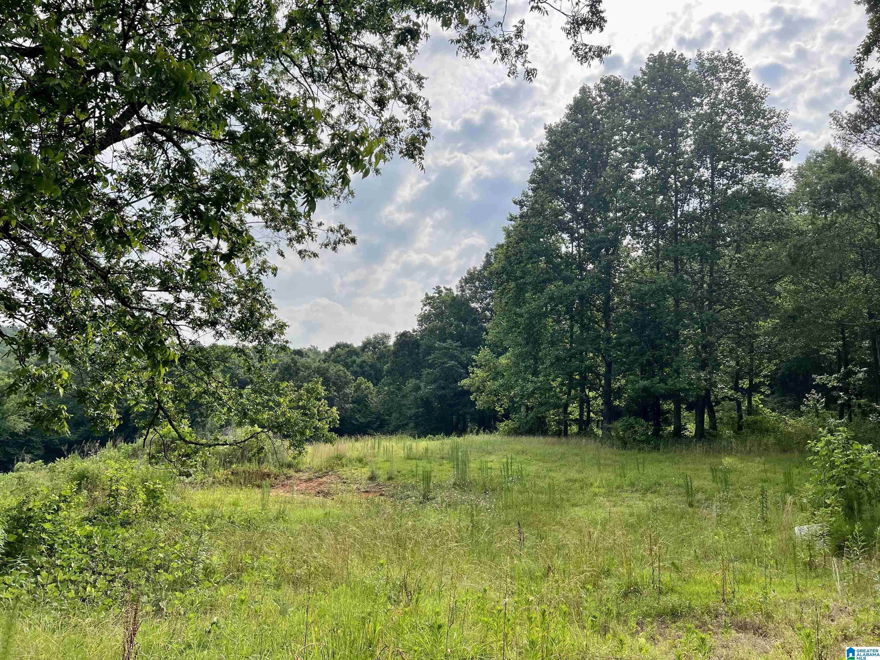0 Fowler Springs Road, Unit 21 Blountsville, AL 35031 - Photo 1 of 24