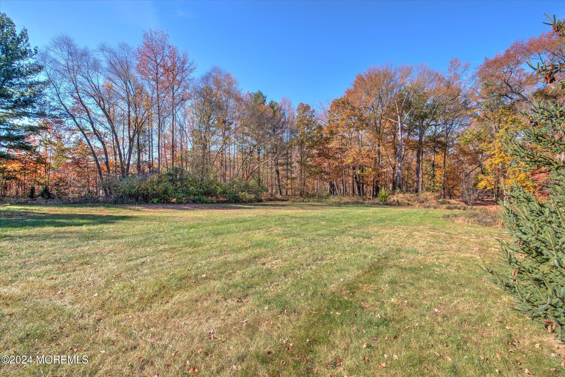 23 Silver Leaf Way Manalapan, NJ 07726 - Photo 68 of 87 62-BACK YARD