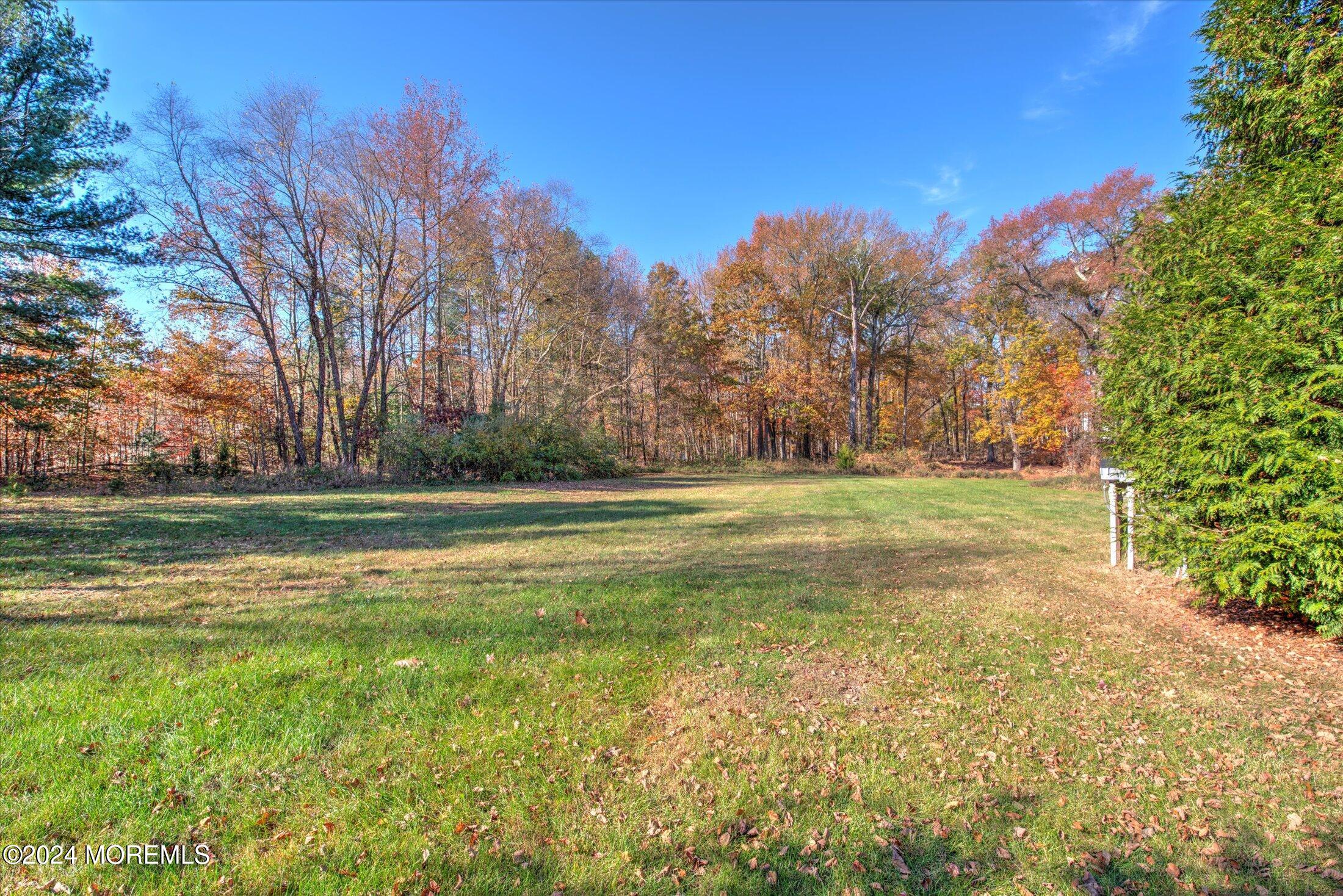 23 Silver Leaf Way Manalapan, NJ 07726 - Photo 69 of 87 63-BACK YARD