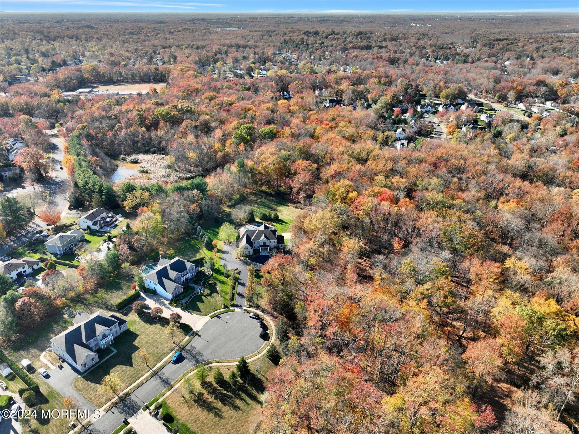 23 Silver Leaf Way Manalapan, NJ 07726 - Photo 76 of 87 09-Aerial