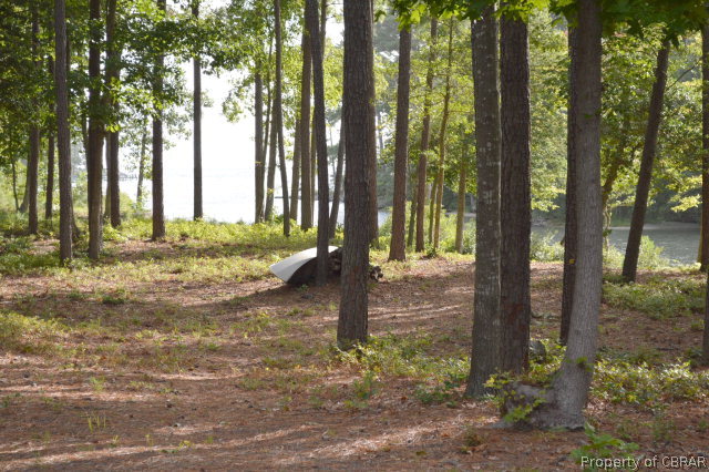 451 Timberline Drive Reedville, VA 22539 - Photo 9 of 28 Seclusion