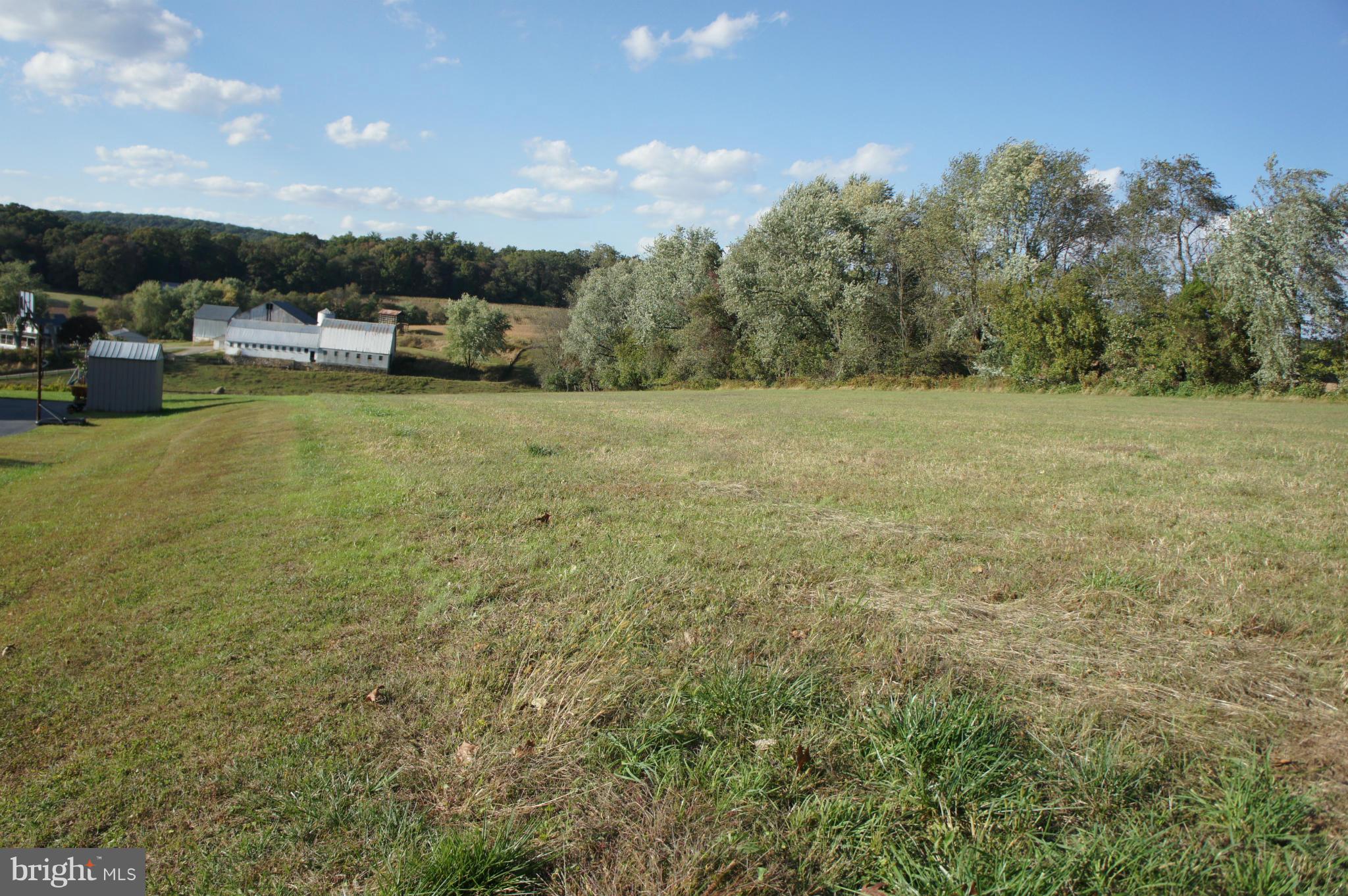 1120 Heaps Road Pylesville, MD 21132 - Photo 13 of 17 View looking down left side of lot