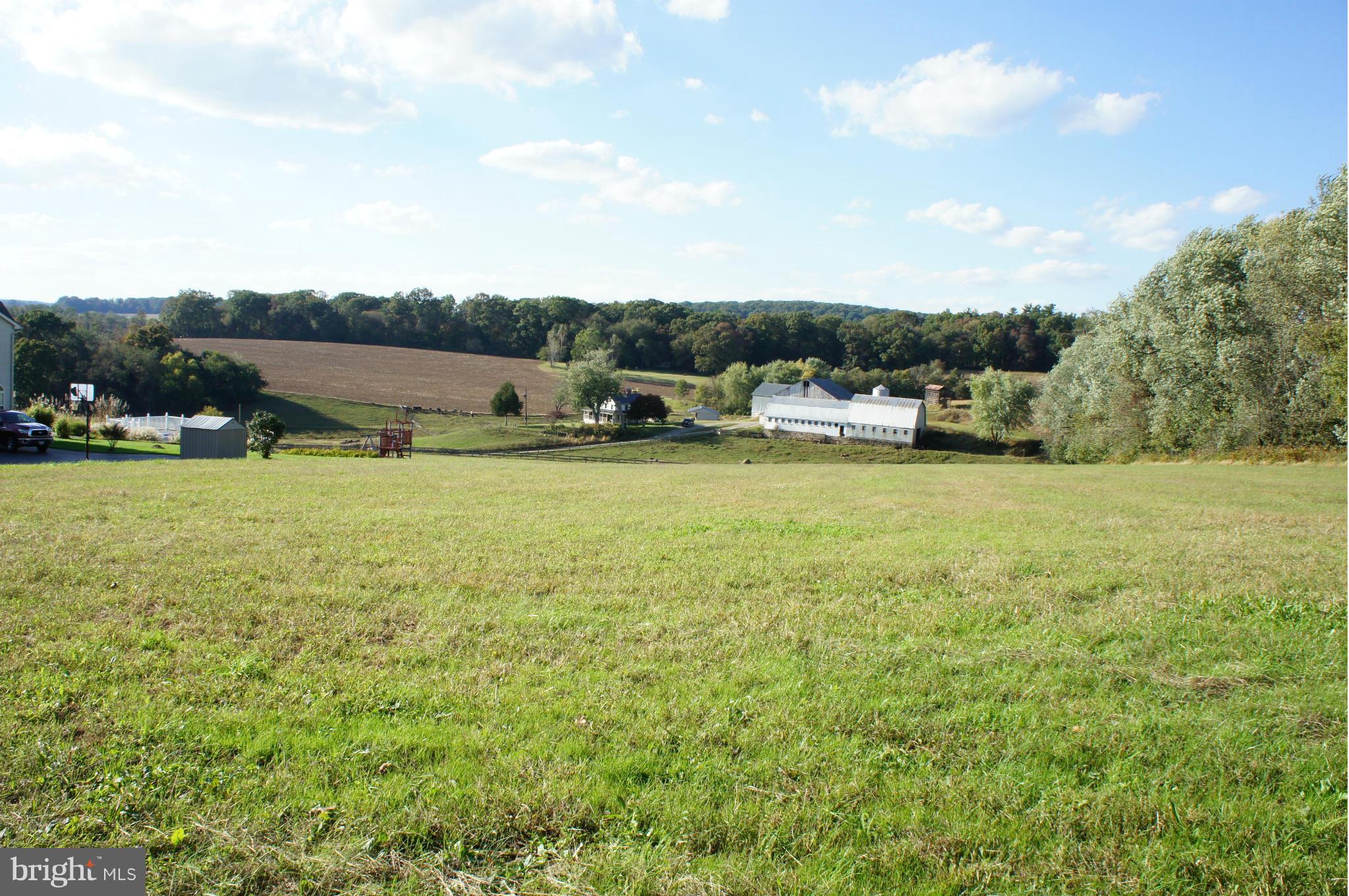 1120 Heaps Road Pylesville, MD 21132 - Photo 5 of 17 Another view of lot