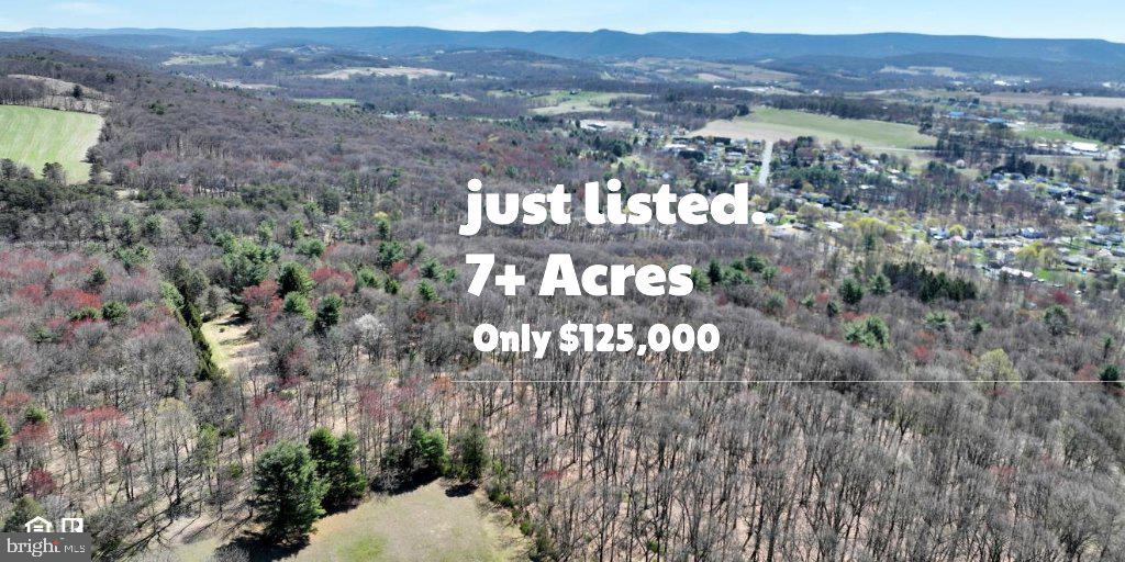 0 Little Mountain Road Orwigsburg, PA 17961 - Photo 1 of 33