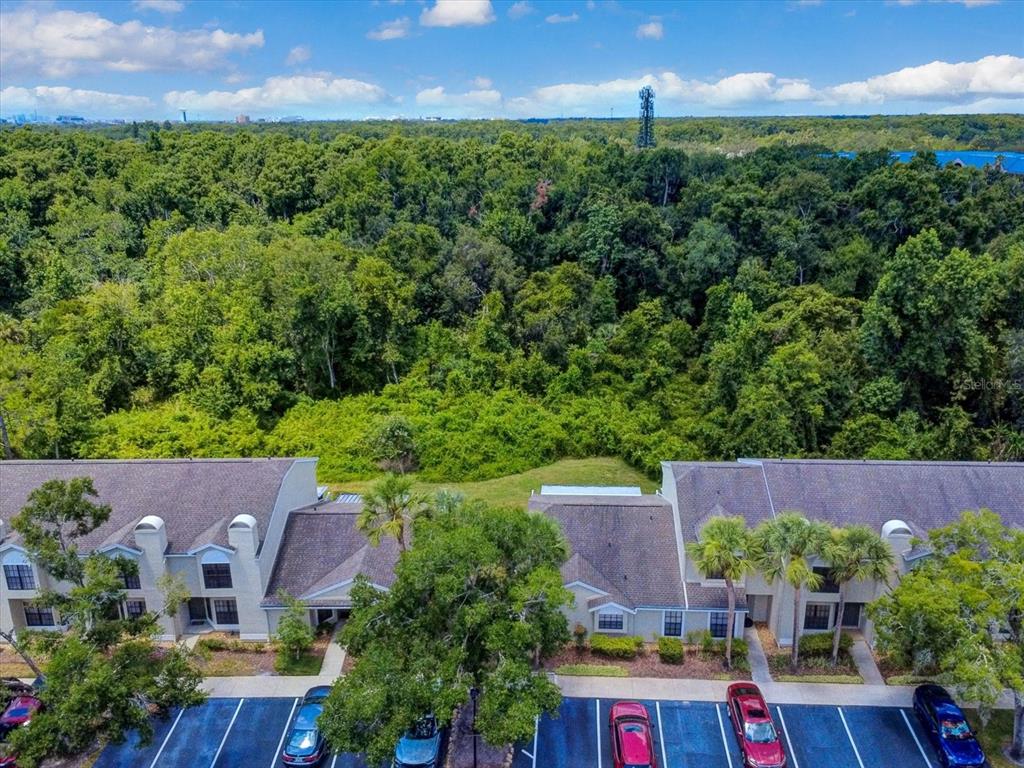 5100 Burchette Road, Unit 3200 Tampa, FL 33647 - Photo 61 of 61