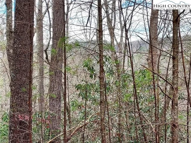 $68,600 | 54 West Ridge Drive, Ferguson, NC 28624