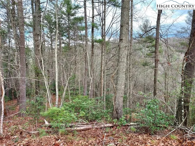 $68,600 | 54 West Ridge Drive, Ferguson, NC 28624