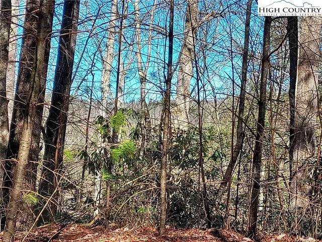 $68,600 | 54 West Ridge Drive, Ferguson, NC 28624