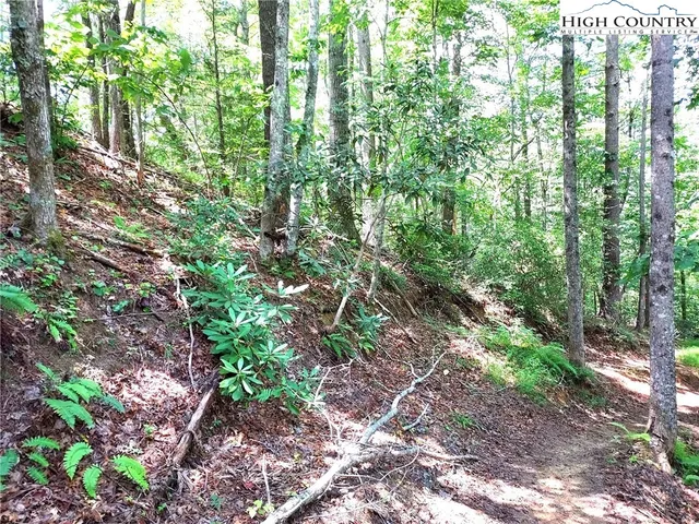 $68,600 | 54 West Ridge Drive, Ferguson, NC 28624