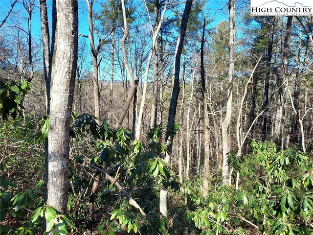 $68,600 | 54 West Ridge Drive, Ferguson, NC 28624