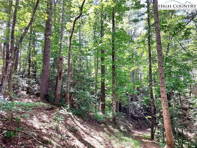 $68,600 | 54 West Ridge Drive, Ferguson, NC 28624