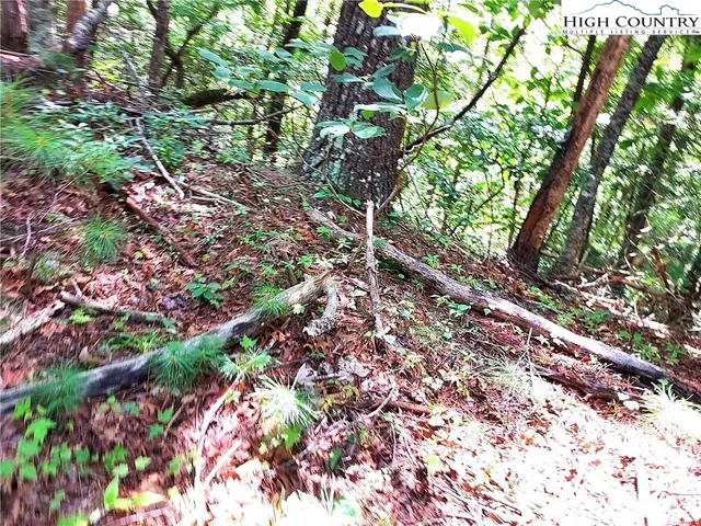 $68,600 | 54 West Ridge Drive, Ferguson, NC 28624