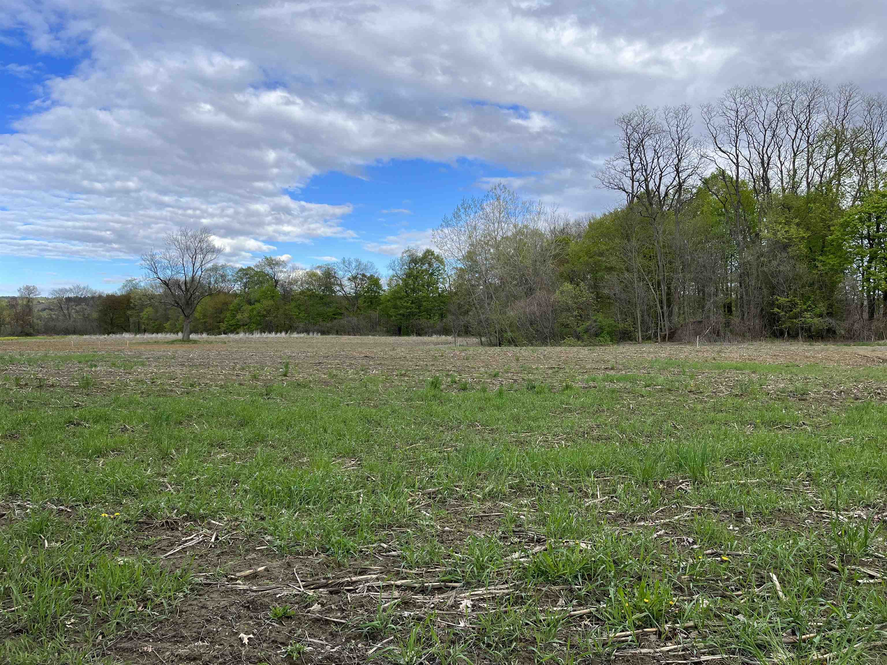 0 Red Fox Run Westminster, VT 05158 - Photo 2 of 5