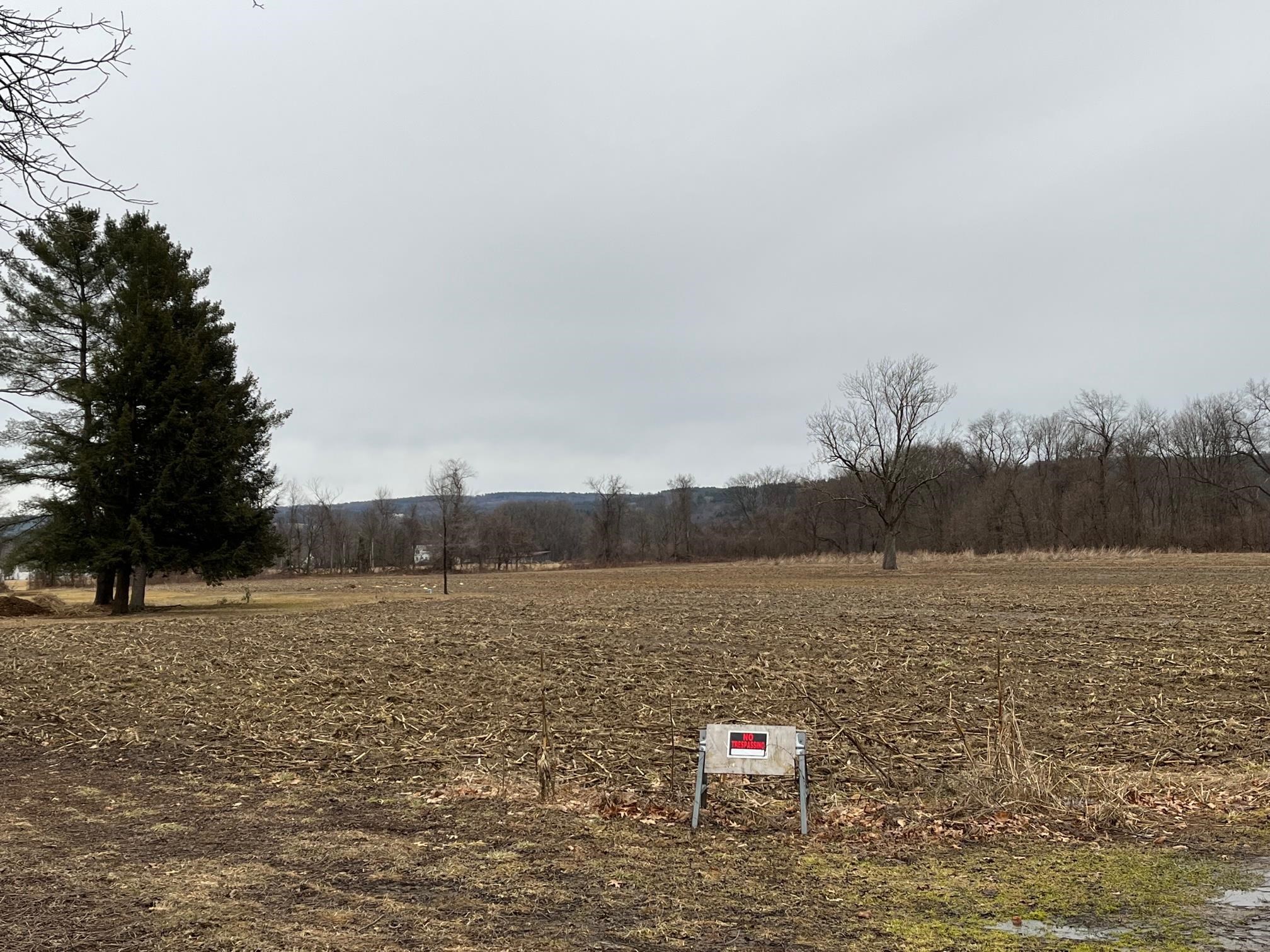 0 Red Fox Run Westminster, VT 05158 - Photo 3 of 5