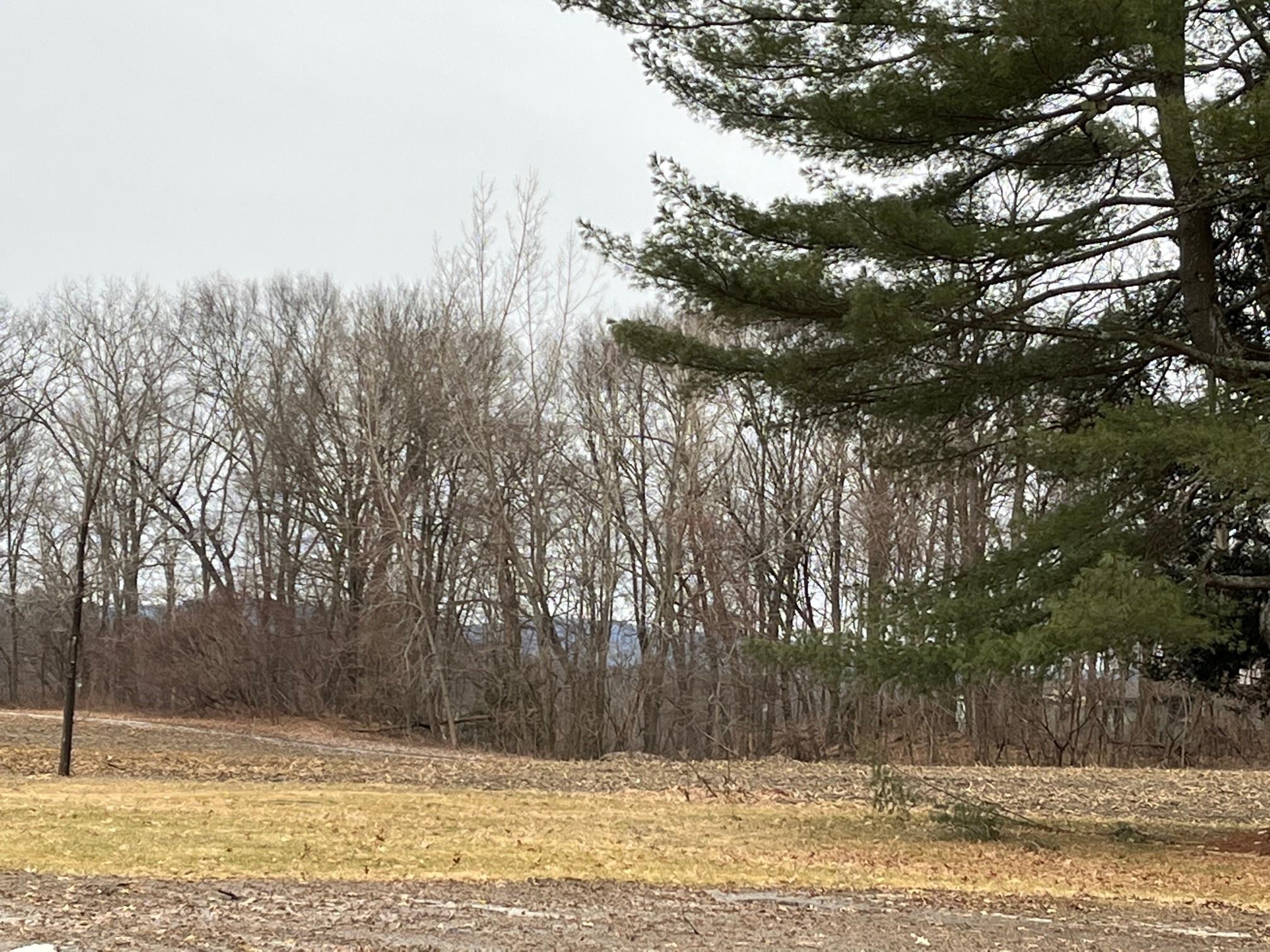 0 Red Fox Run Westminster, VT 05158 - Photo 4 of 5