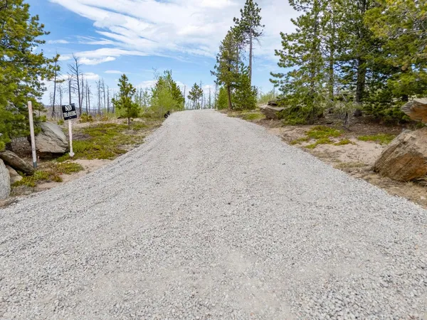 a view of a road with a yard