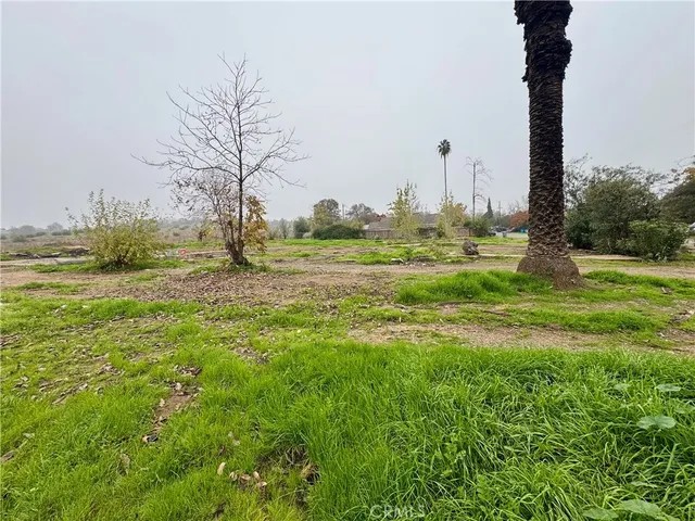 a view of a garden with an ocean