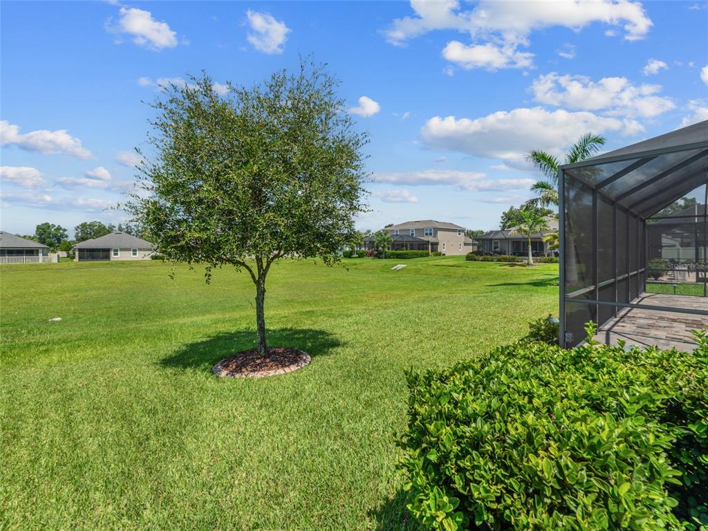 1010 Better Days Place Valrico, FL 33594 - Photo 48 of 55