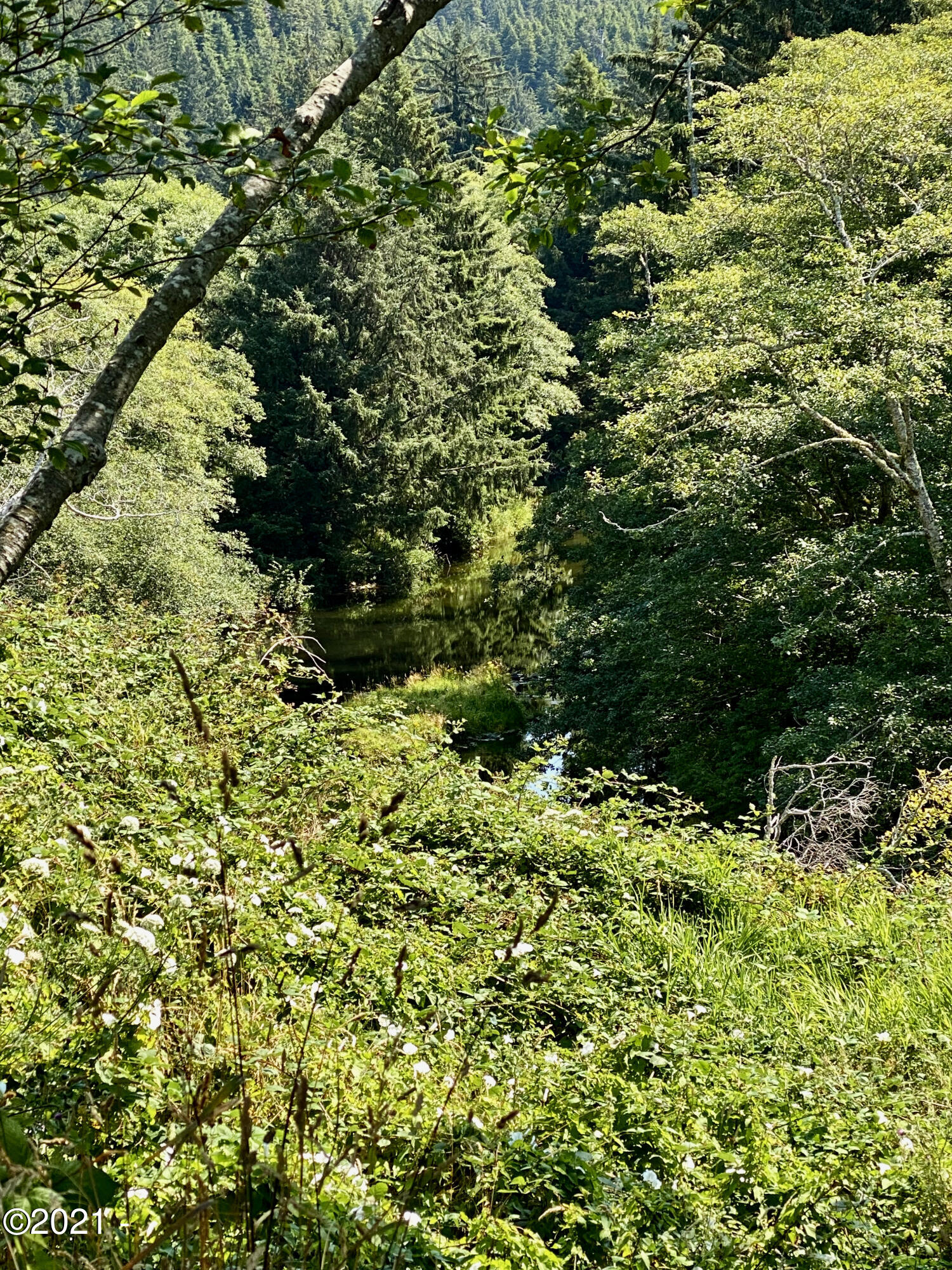 200 Combs Circle Yachats, OR 97498 - Photo 8 of 12 Lot