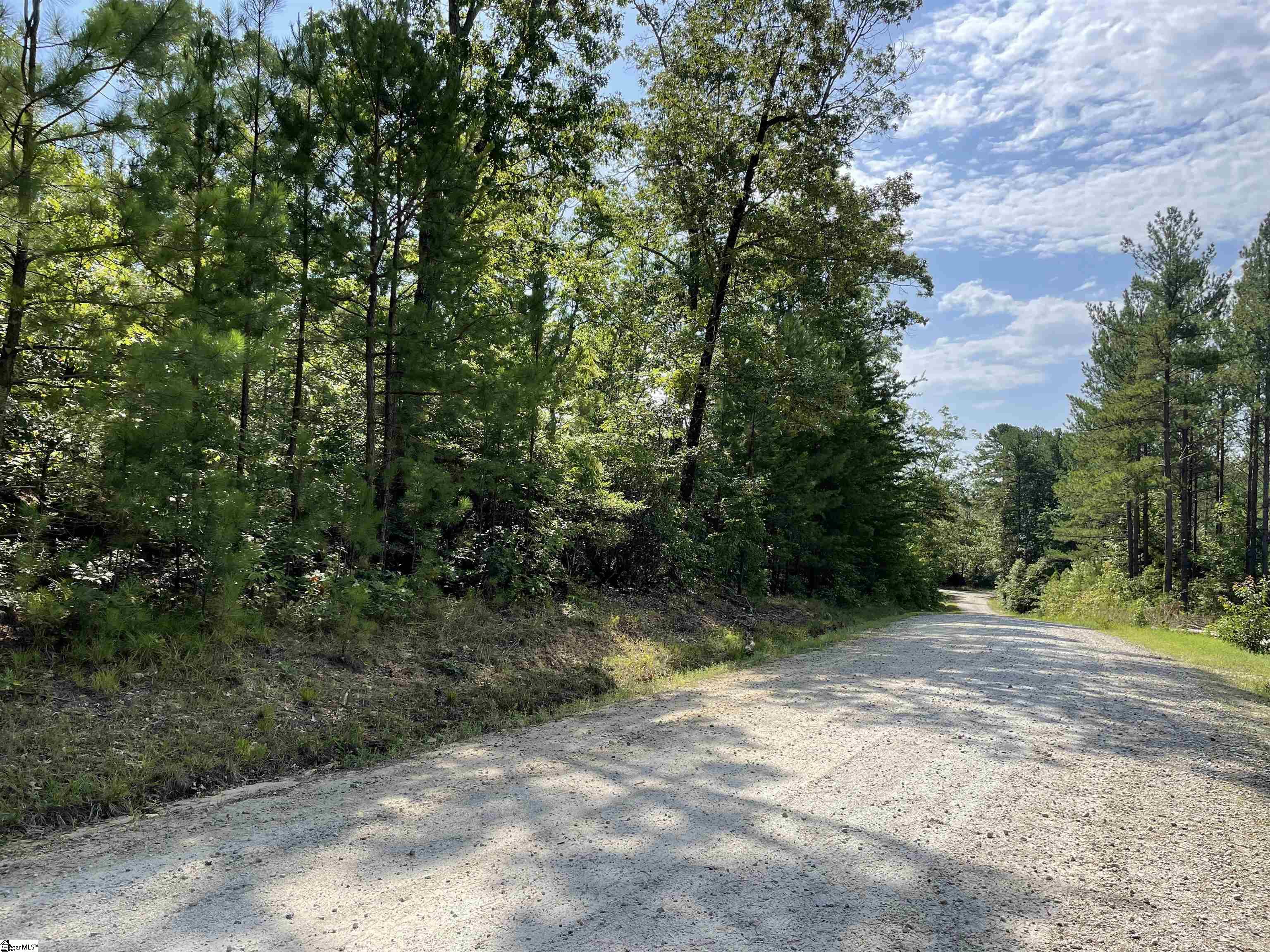 0 Whitewater Point Road, Unit TRACT 6 Tamassee, SC 29686 - Photo 21 of 22 Gallery Image 21