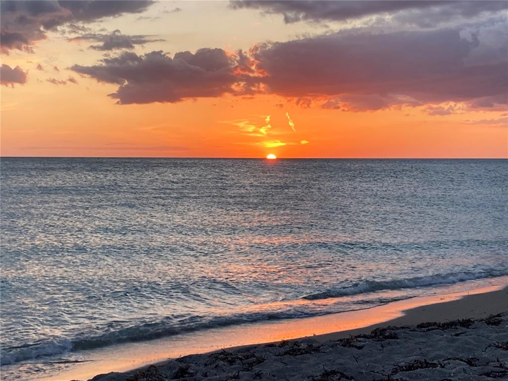 282 Santa Maria Street Venice, FL 34285 - Photo 39 of 39