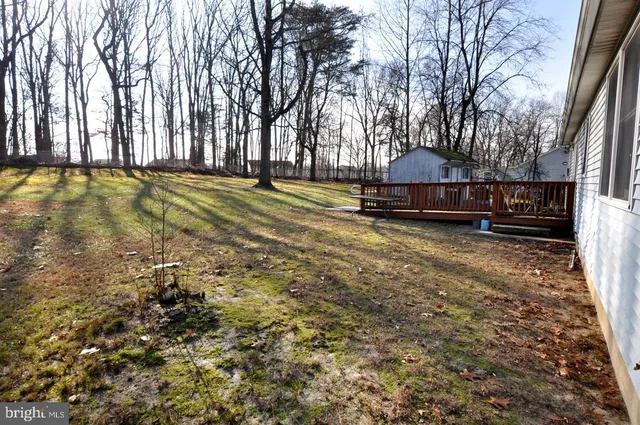 a view of swimming pool with outdoor seating and covered with trees