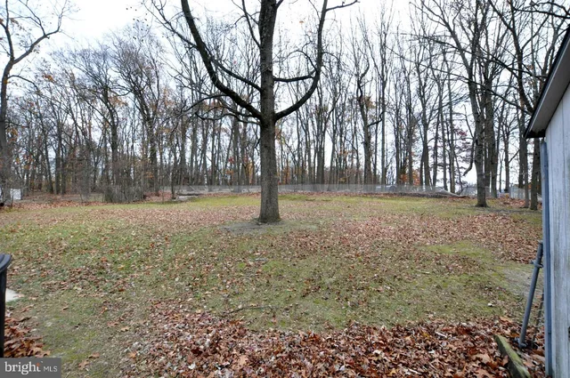 a view of a yard with trees