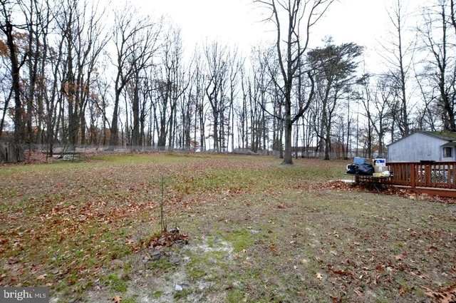 a view of a field with trees in the background